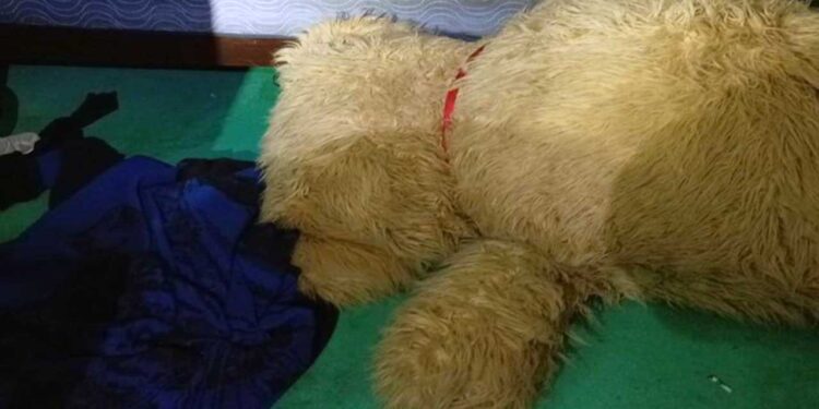 Las primeras investigaciones arrojaron evidentes huellas de violencia en el cuerpo.
