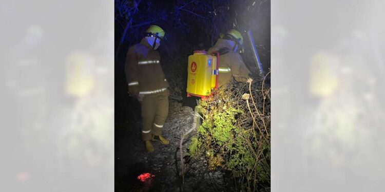 Los hechos ocurrieron durante la madrugada de este miércoles.