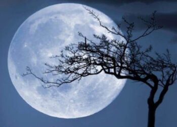 La Luna Fría 2024: ¿Qué día se podrá apreciar en su punto máximo?