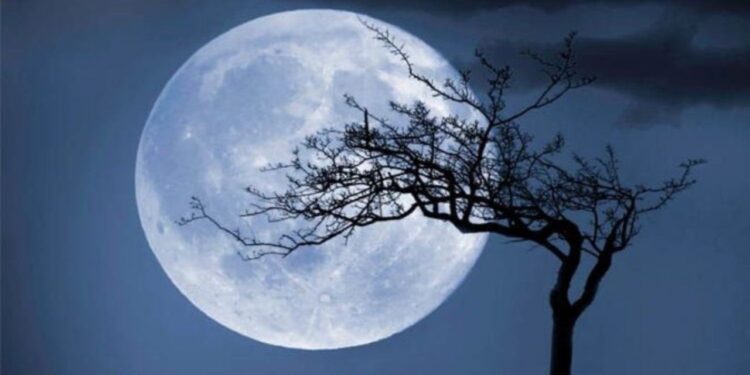 La Luna Fría 2024: ¿Qué día se podrá apreciar en su punto máximo?