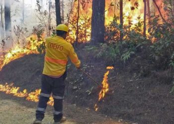 Foto: Archivo El Imparcial // Para prevenir incendios forestales, presentan la plataforma electrónica “Incendios y Quemas Mx”.