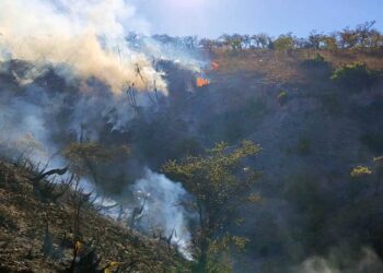 Foto: archivo // Conafor coincidió en la relevancia de la prevención como una de las mejores herramientas para evitar los incendios.