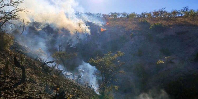 Foto: archivo // Conafor coincidió en la relevancia de la prevención como una de las mejores herramientas para evitar los incendios.