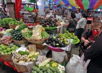 Foto: Archivo El Imparcial // Verduras como el jitomate y la calabacita registraron incrementos del 20.43% en la primera quincena de diciembre, empujando la inflación a 5.58% en Oaxaca.