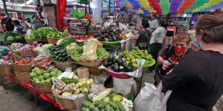 Foto: Archivo El Imparcial // Verduras como el jitomate y la calabacita registraron incrementos del 20.43% en la primera quincena de diciembre, empujando la inflación a 5.58% en Oaxaca.