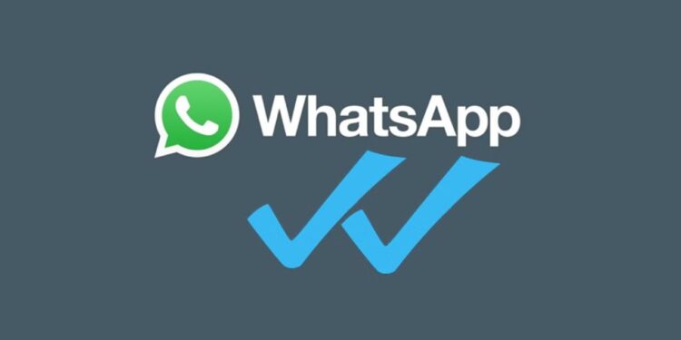 Trucos para leer mensajes de WhatsApp sin dejar el doble check azul