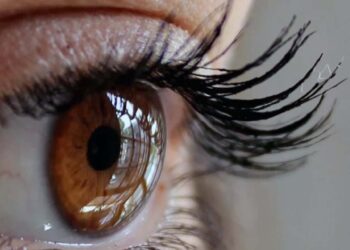 Foto: internet – ilustrativa // El uso diario de estos accesorios representa un riesgo para la salud, por la acumulación de bacterias, suciedad y químicos.
