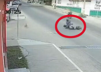 VIDEO | ¡Increíble! Perros provocan aparatoso derrape de motociclista en Huatulco