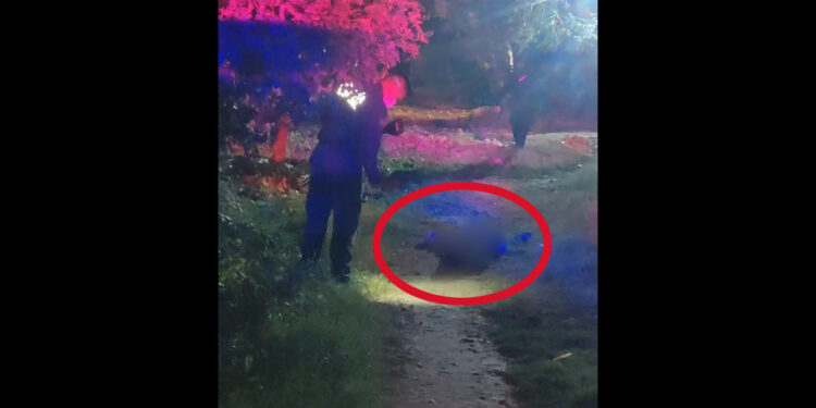 ¡Eliminan a presunto delincuente en Juchitán!