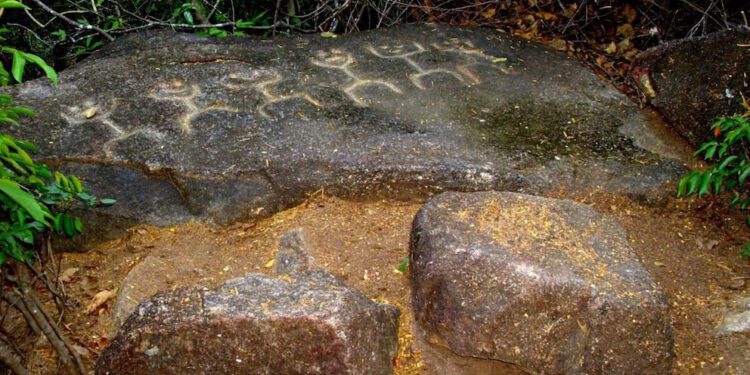 ¡La Sabana! Un tesoro arqueológico y natural en Acapulco