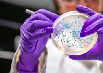 Foto: internet – ilustrativa // Al menos 13 niños han fallecido en hospitales del Estado de México por un posible contagio con la bacteria Klebsiella oxytoca