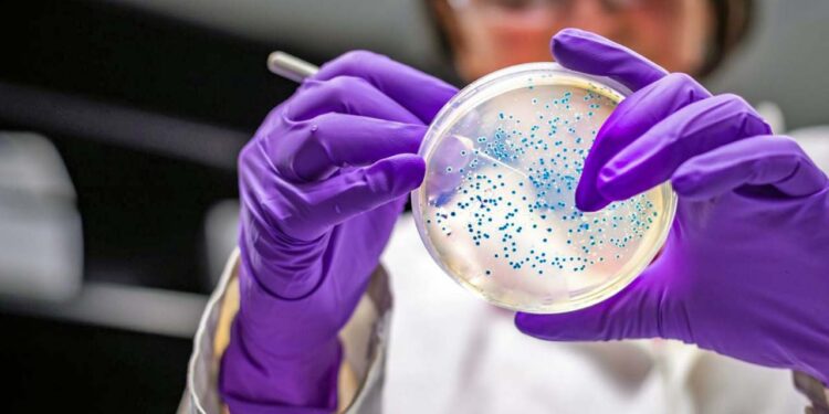 Foto: internet – ilustrativa // Al menos 13 niños han fallecido en hospitales del Estado de México por un posible contagio con la bacteria Klebsiella oxytoca