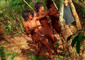 Massaco: La comunidad amazónica no contactada que resiste y prospera frente a la deforestación