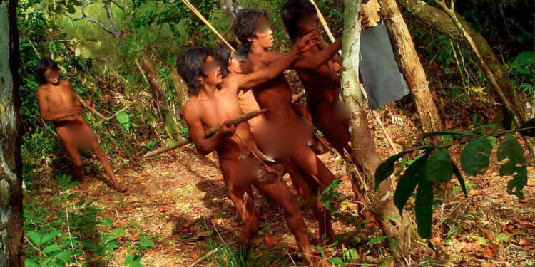 Massaco: La comunidad amazónica no contactada que resiste y prospera frente a la deforestación