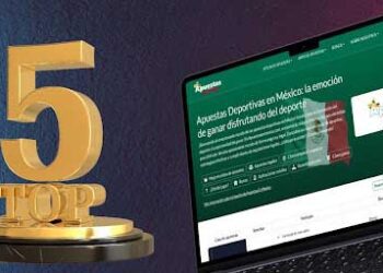 Top 5 deportes más viables para apostar y obtener algo de ganancias