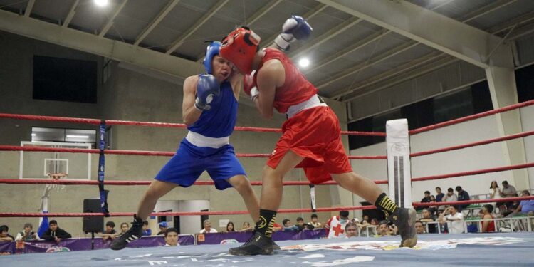 Con 220 pugilistas se desarrolla el estatal de Box, se Juegos Nacionales.