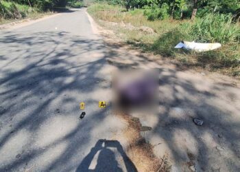 La víctima fue identificada como Apolinar S. R. de 55 años, vecino de Unión Linda Vista.