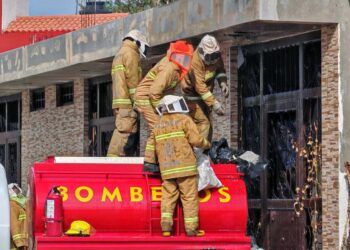 El panal fue retirado por elementos de Bomberos y Protección Civil.