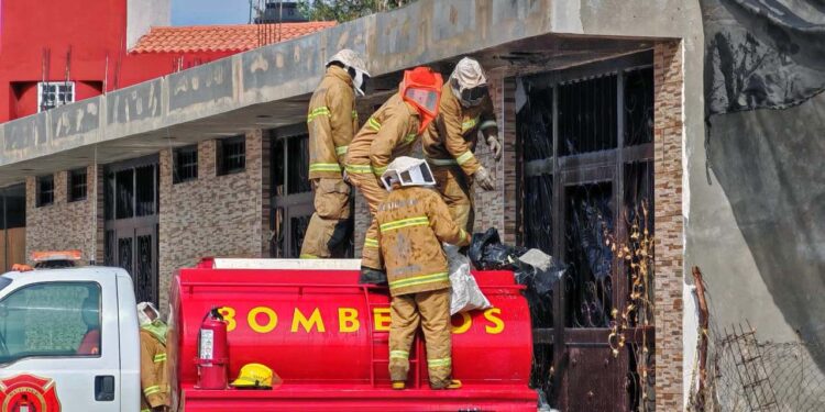 El panal fue retirado por elementos de Bomberos y Protección Civil.
