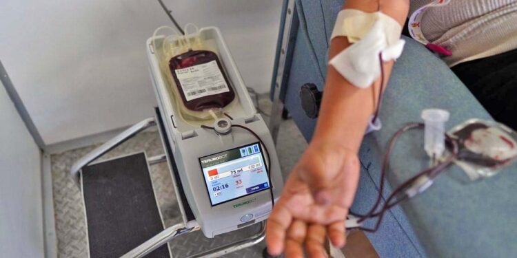 En lo que va del año, de acuerdo a la Secretaría de Salud federal, Oaxaca ha notificado 87 nuevos casos de leucemia en diferentes grupos de edad.