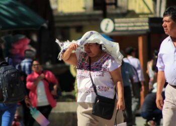Foto: Adrián Gaytán // Alertan por el impacto de al menos seis ondas de calor.
