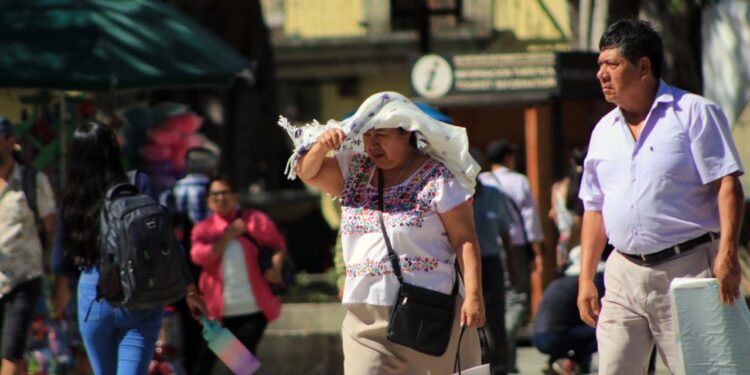 Foto: Adrián Gaytán // Alertan por el impacto de al menos seis ondas de calor.
