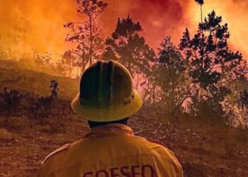 Foto: Archivo El Imparcial // Ante la previsión de otra temporada crítica por incendios forestales, la DDHPO emite Alerta Temprana.