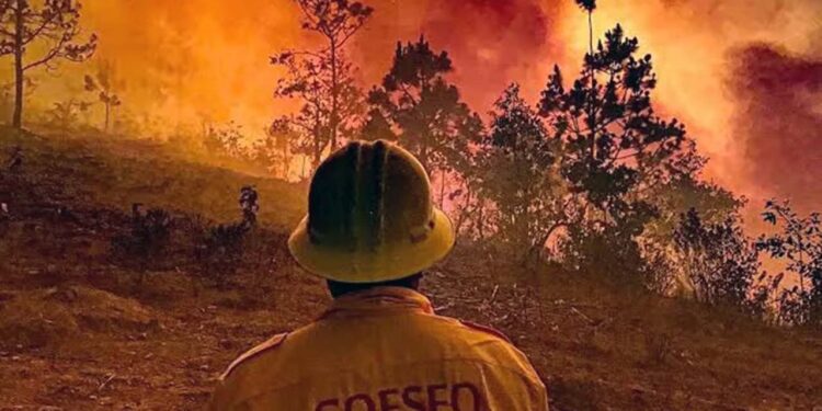 Foto: Archivo El Imparcial // Ante la previsión de otra temporada crítica por incendios forestales, la DDHPO emite Alerta Temprana.