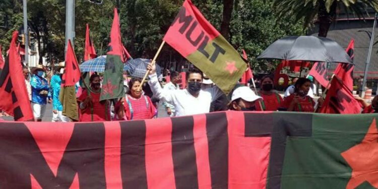 Advirtieron que saldrán este 2 de febrero del presente año a las calles de Oaxaca y ciudad de México.