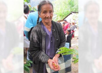 Anteriormente el aromático cereza o capulín se ponía rojo-uva hasta marzo o abril.
