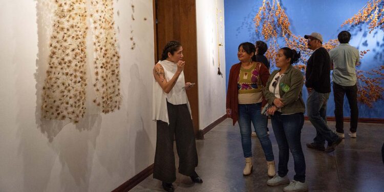 Cientos de porophyllums forman un kimono.
