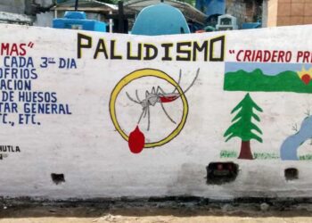 Foto: SSO // Los síntomas del paludismo son fiebre, cuerpo cortado, dolores musculares y de cabeza, así como cansancio y escalofríos.