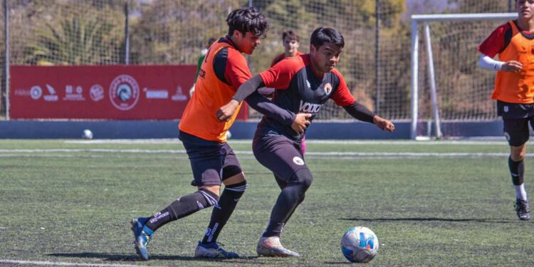 Dragones de Oaxaca no descansa y se encuentran en la recta final de su preparación para regresar a la Liga TDP.