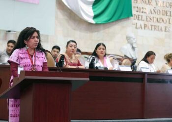 Foto: Luis Alberto Cruz // Edith Santibáñez Bohórquez, titular de la Secretaría del Trabajo, comparece ante legisladores.