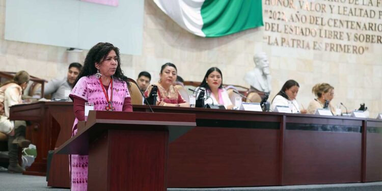 Foto: Luis Alberto Cruz // Edith Santibáñez Bohórquez, titular de la Secretaría del Trabajo, comparece ante legisladores.