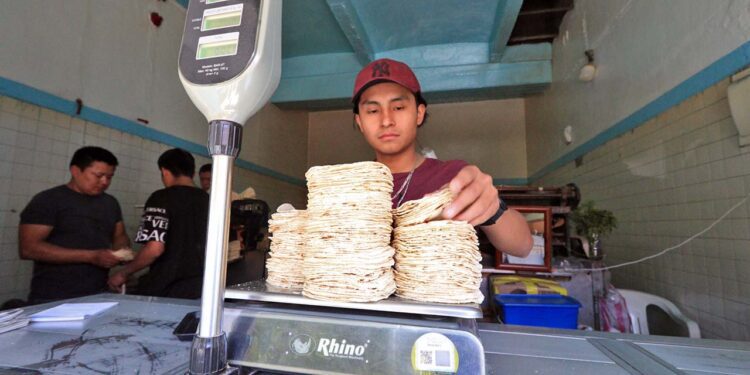 Foto: Adrián Gaytán // El precio de la tortilla ha aumentado de dos a cuatro pesos, dependiendo la zona.