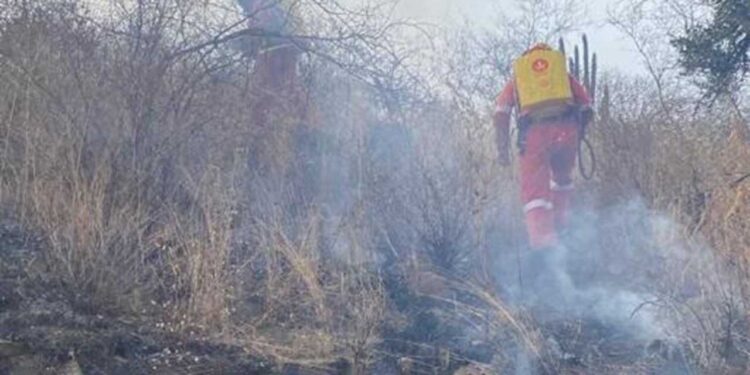 Elementos del cuerpo de Bomberos controlan incendio forestal.