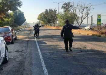 El olor fétido no venía de la cajuela del vehículo, sino de un perro muerto cerca del lugar.