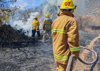 Hombre detenido por  provocar un incendio