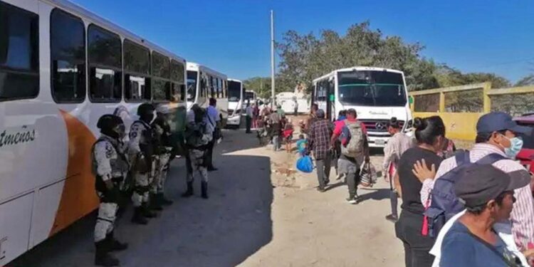 Foto: redes sociales // En Veracruz detuvieron a 20 choferes y cobradores de la empresa Autotransportes Istmeños por trasladar a migrantes.