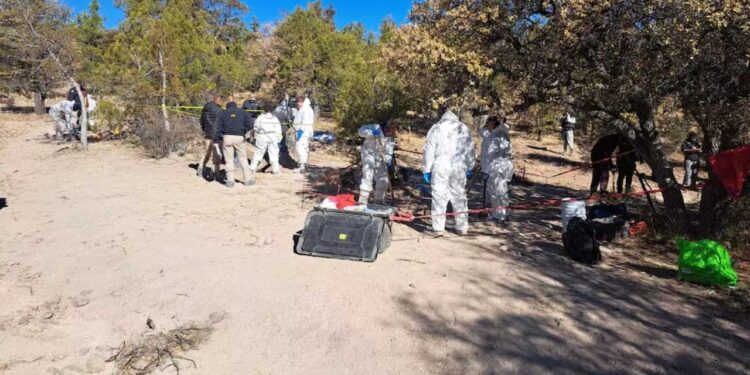 ¡Abominable hallazgo! 60 cuerpos localizados en fosas clandestinas en Casas Grandes, Chihuahua