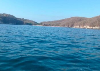 Manchas en Huatulco no es marea roja: SSO