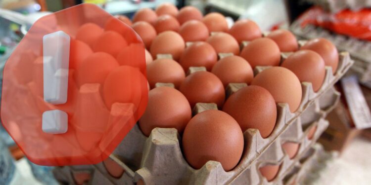 Alerta sanitaria por salmonela: Retiran huevos contaminados en Canadá