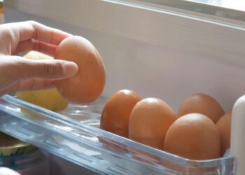 ¿Dónde guardar los huevos en el refrigerador para mantenerlos frescos por más tiempo?