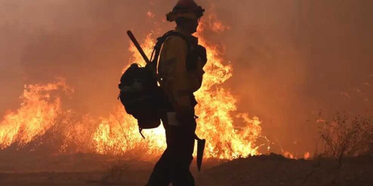 Infierno en Los Ángeles: Incendios descontrolados devastan vidas y desafían a miles de socorrista