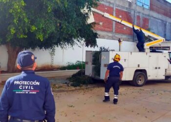 Foto: Municipio de Oaxaca de Juárez // Integrantes de la dirección de Protección Civil municipal pasaron a Secretaría de Gobierno y Territorio.