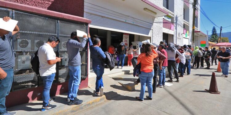 Foto: Adrián Gaytán // Largas filas en Semovi para pagar la Tenencia 2025 y reemplacamiento.