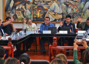 Foto: Igavec // Los concejos se instalarán el 21 y 28 de enero.