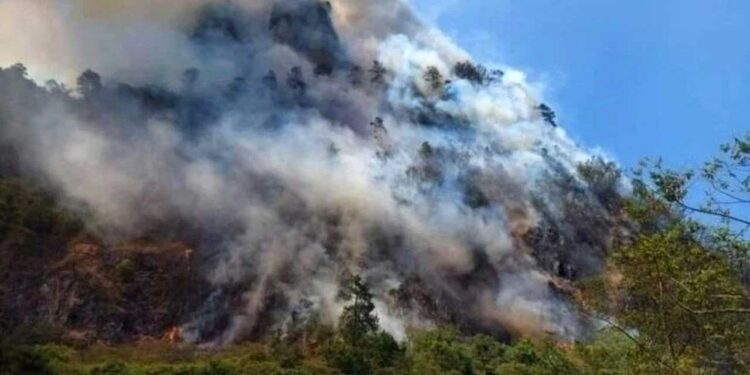 Foto: Archivo El Imparcial // Los incendios forestales afectaron 160 mil 415 hectáreas de bosques en 2024.