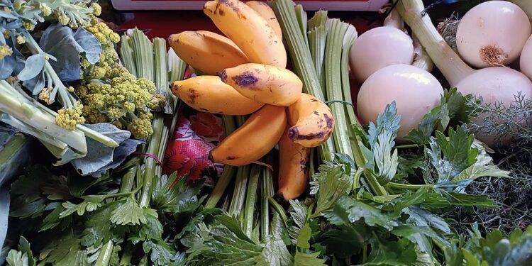 Con “Mercadito de frescos”, buscan dignificar la agricultura